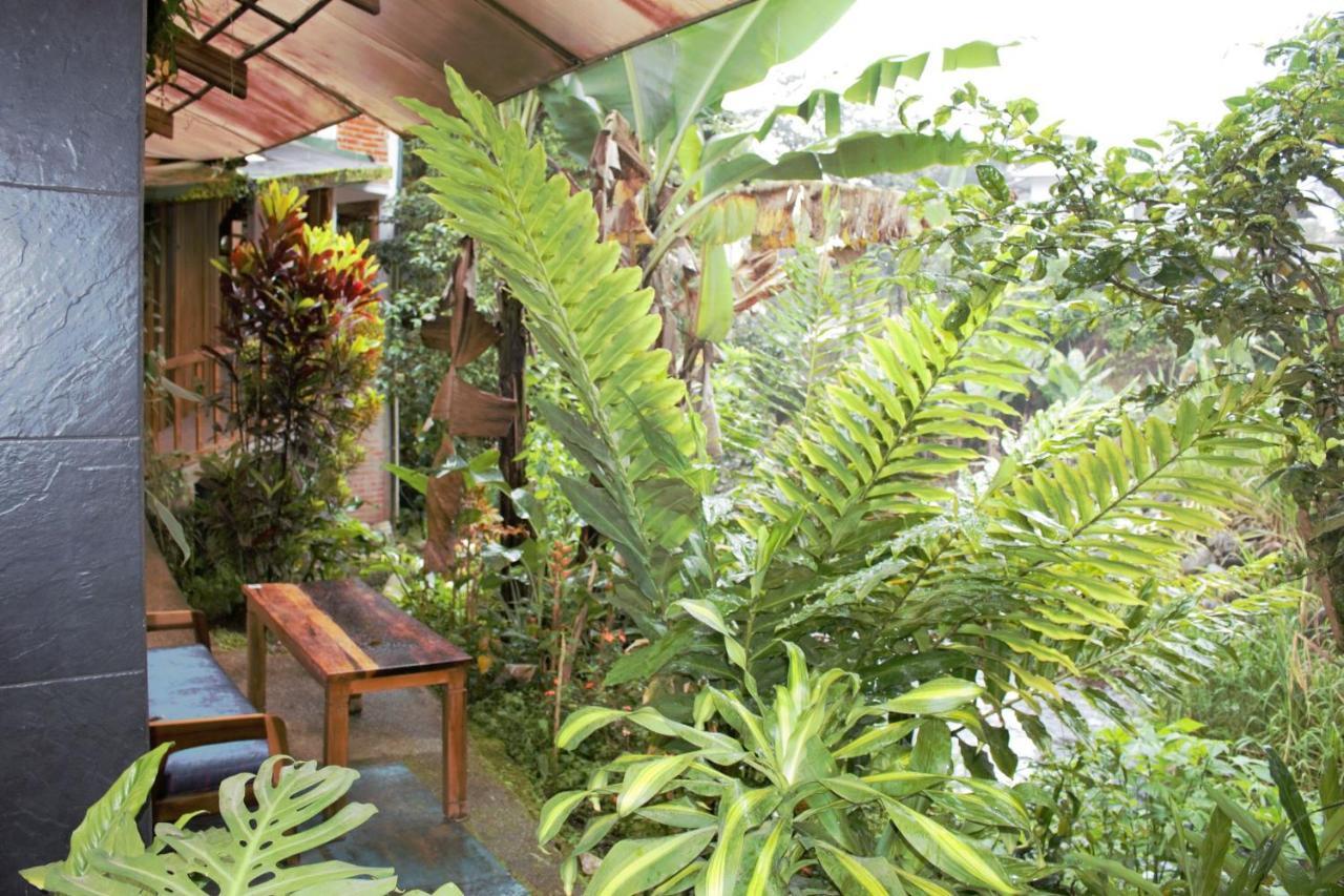 Hostal Zafiro Mindo Ngoại thất bức ảnh